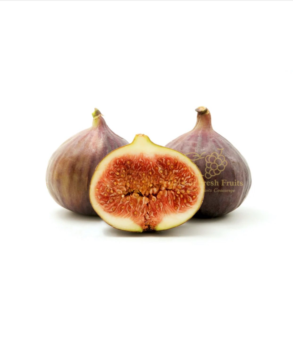 Turkey Fig_0