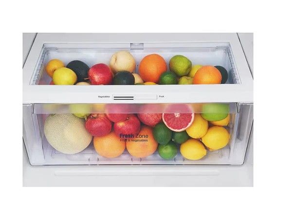 LG REF 242PQGB-263L - Top Freezer Fridge 263L_2