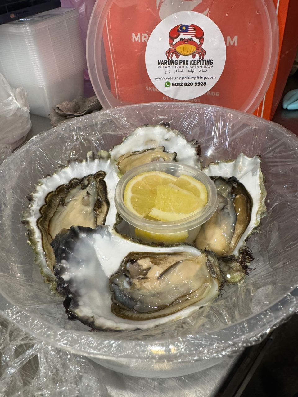 Canada Premium Live Oyster (L Size) AAA Grade – Fresh & LIVE!_2