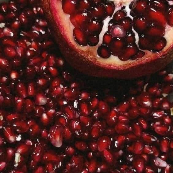 Pomegranate_0