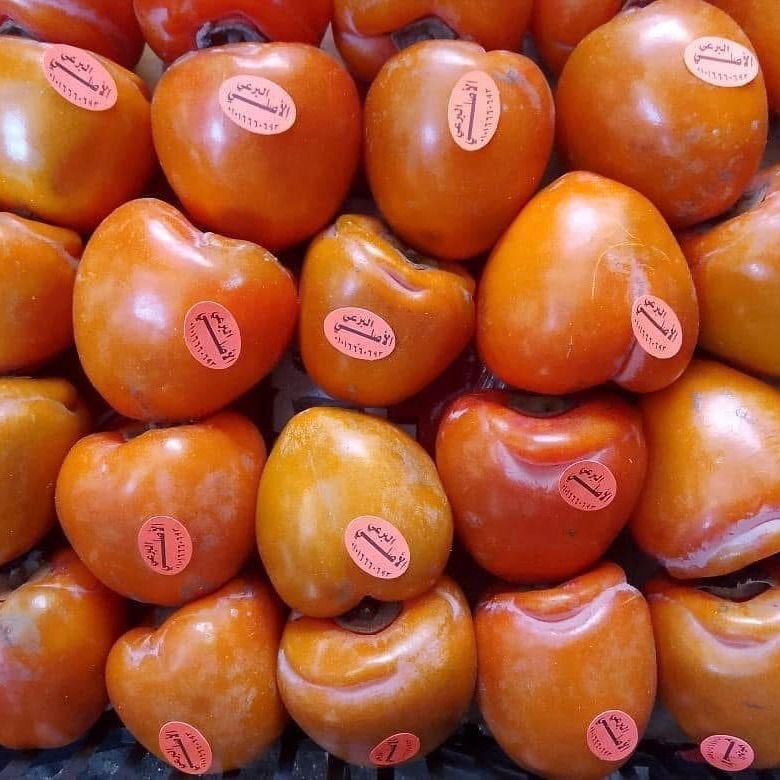 Persimmon (Kaka)_0