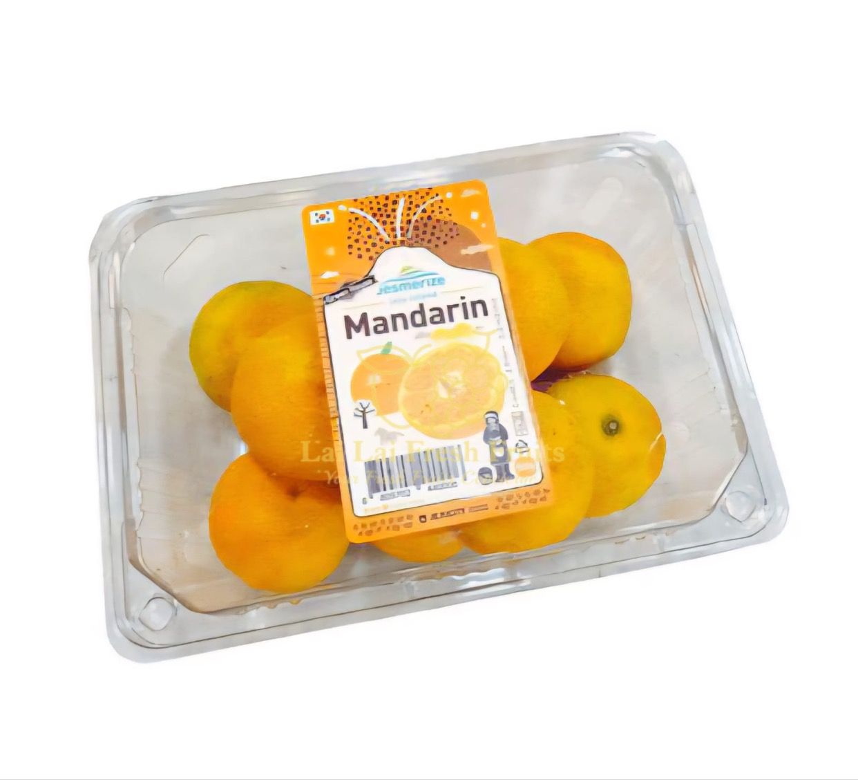 Korean Jeju Mikan_0