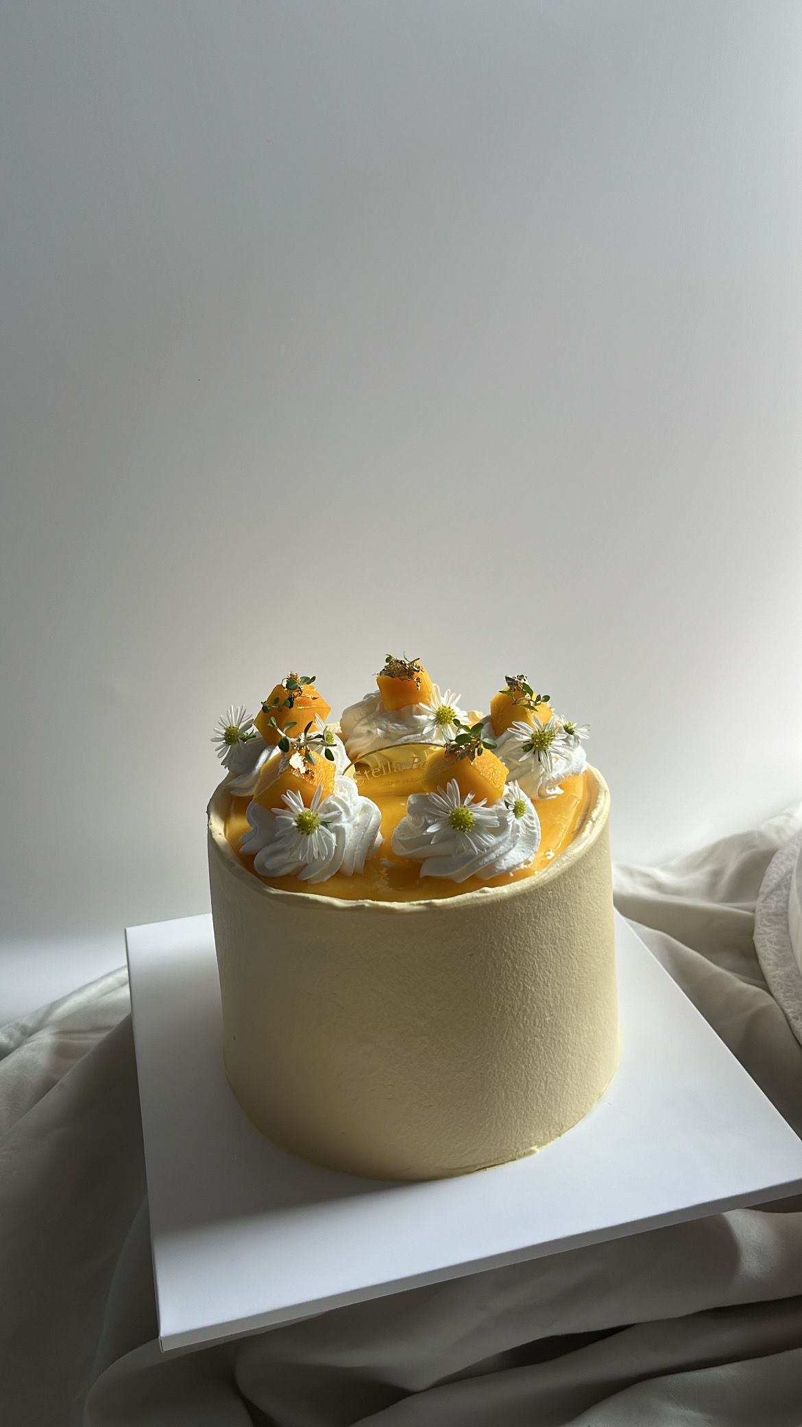 Mango Coconut Passion Fruit_1