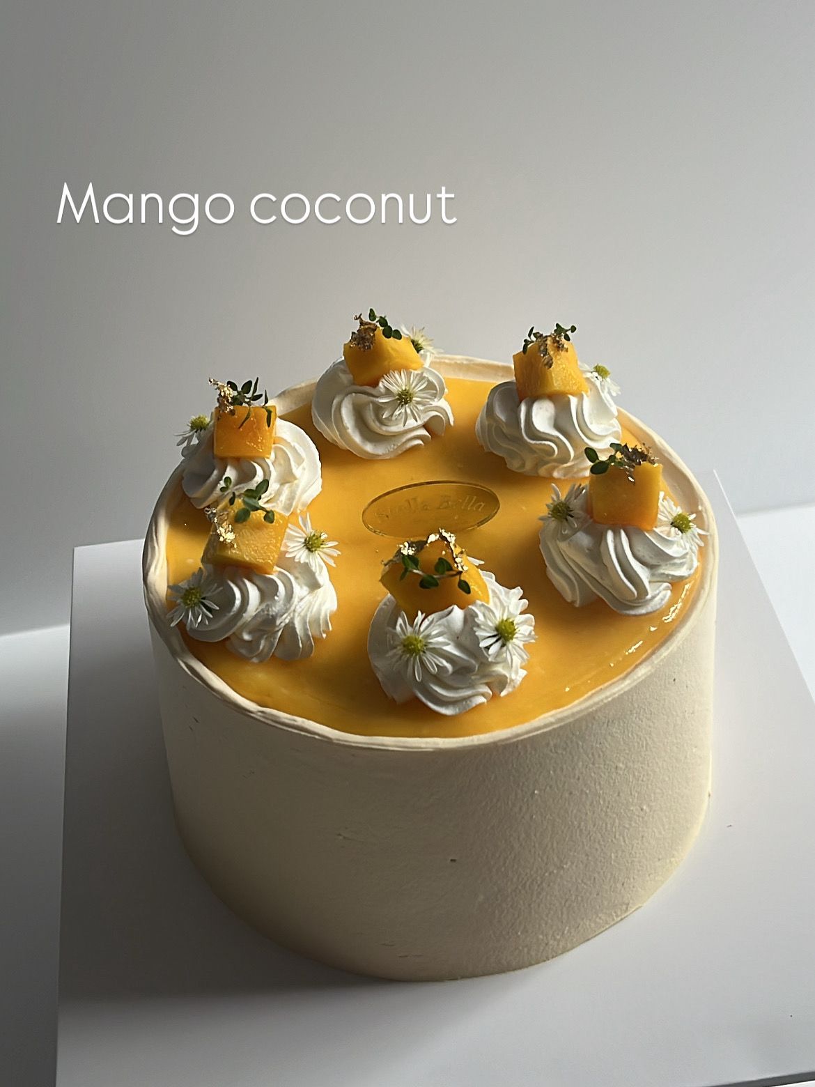 Mango Coconut Passion Fruit_2