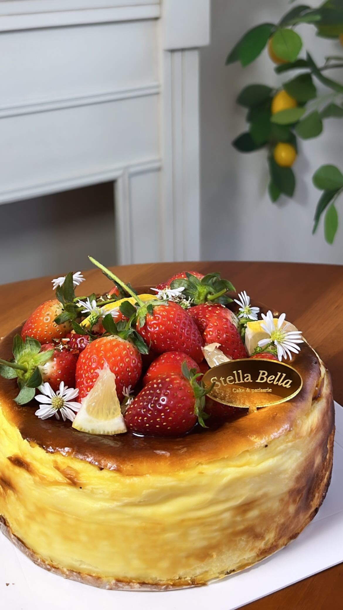 Basque Cheesecake Original_0