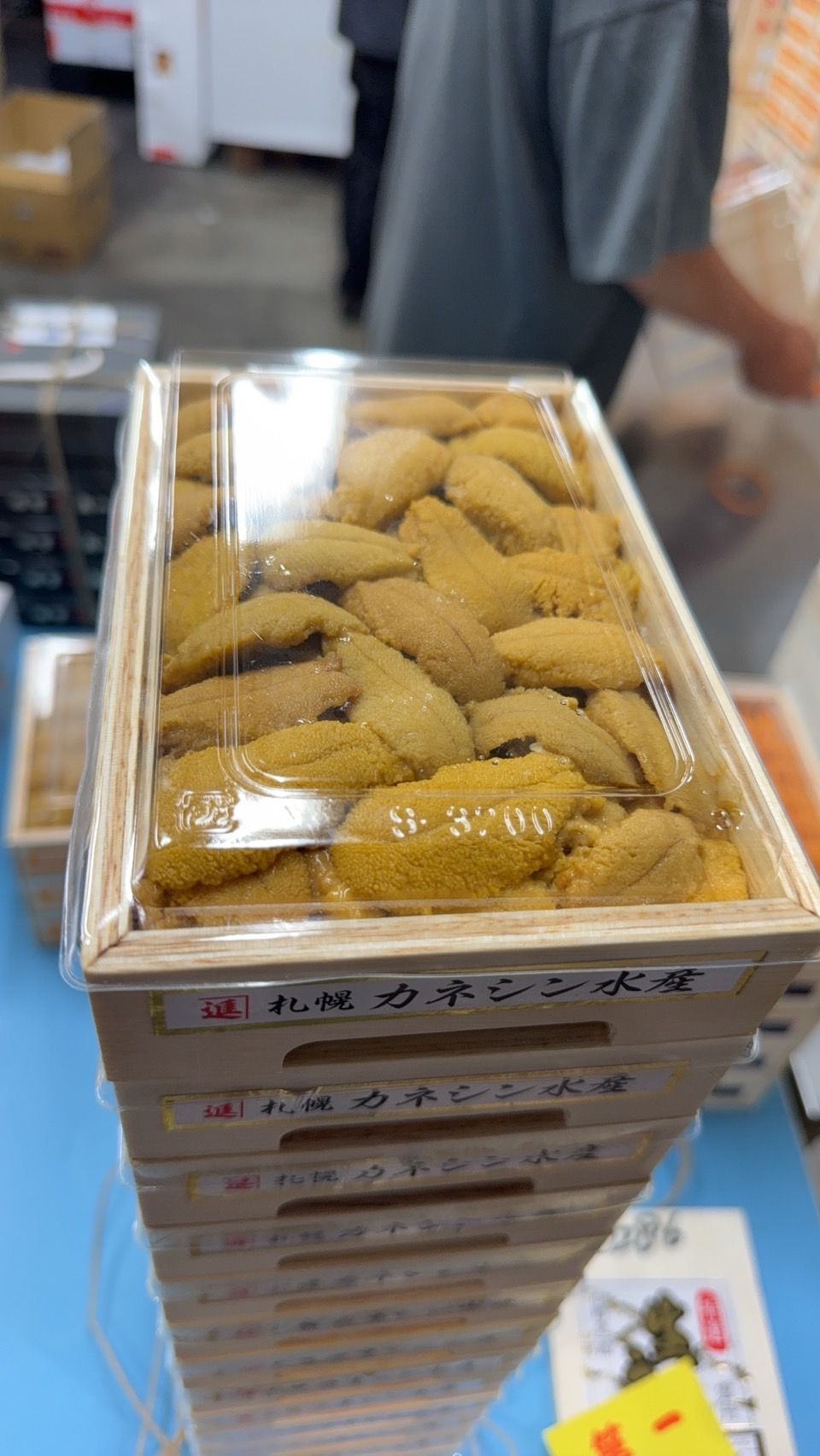 (北海道, Hokkaido) 250g 'Kaneshin 札幌進' Murasaki Uni_0