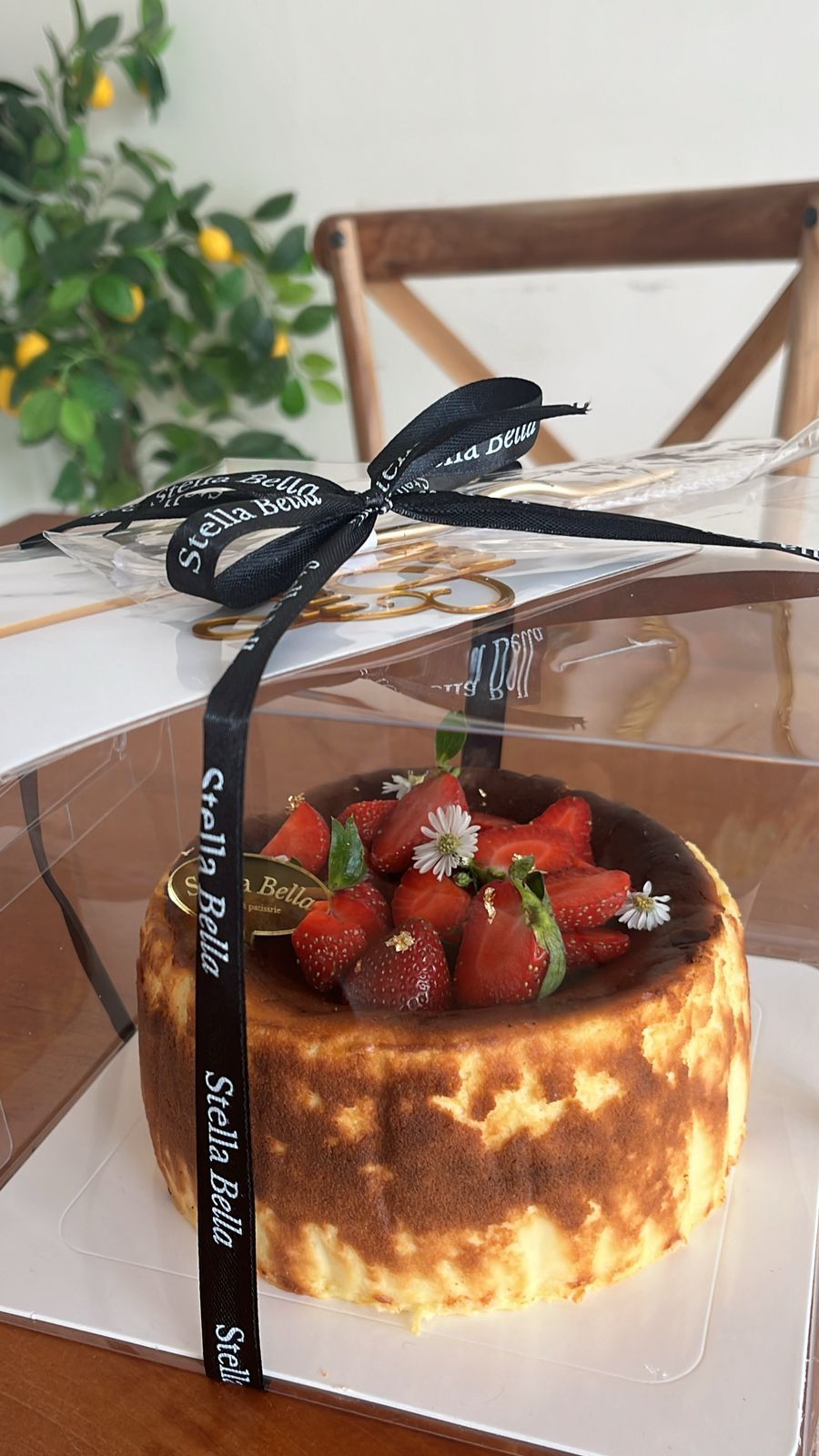 Basque Cheesecake Original_1