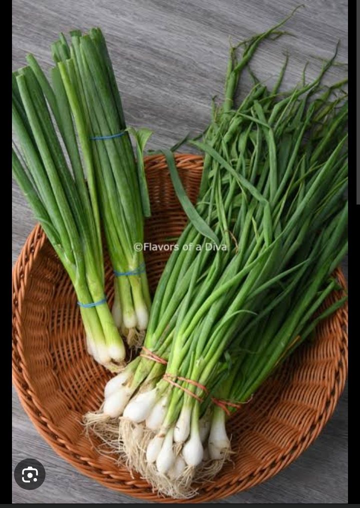 Spring onion_0
