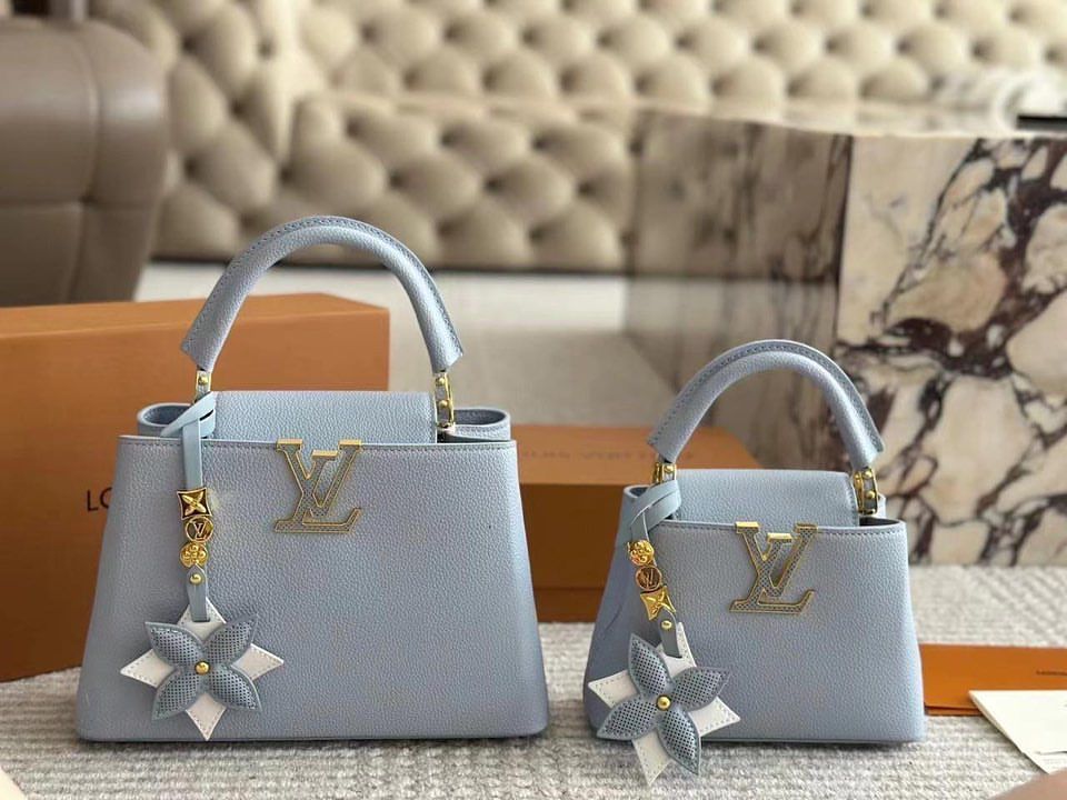 LV CAPUCCINE - POWDER BLUE_0