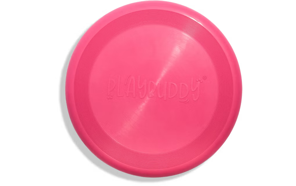 Frisbee PlayBuddy_1