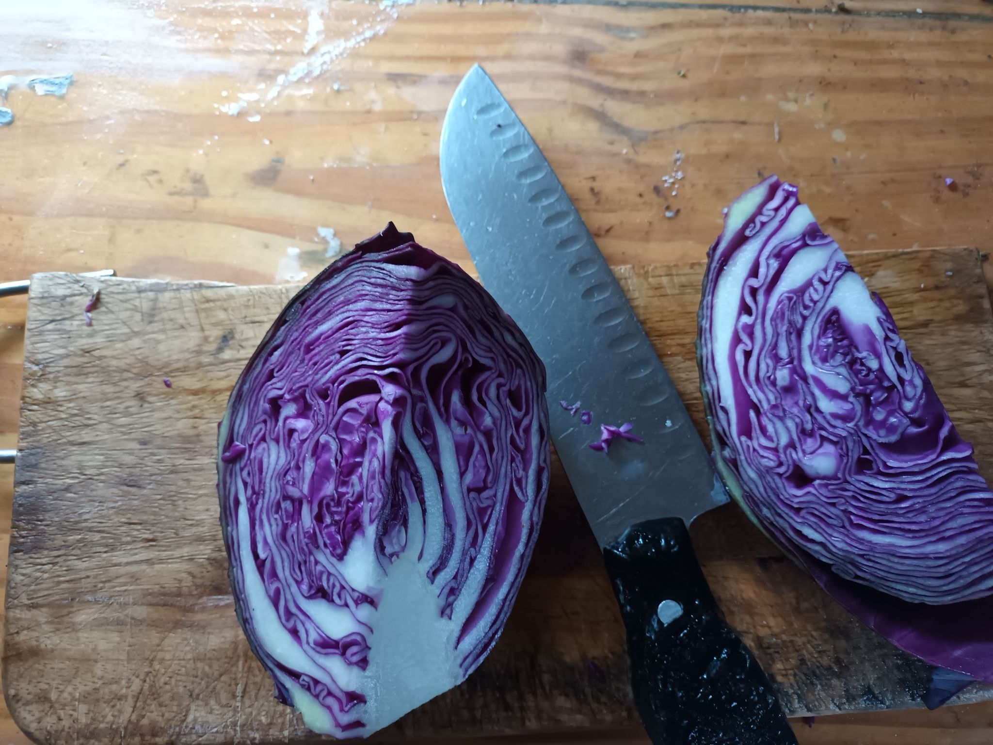 1 Nov Veg growing workshop_0