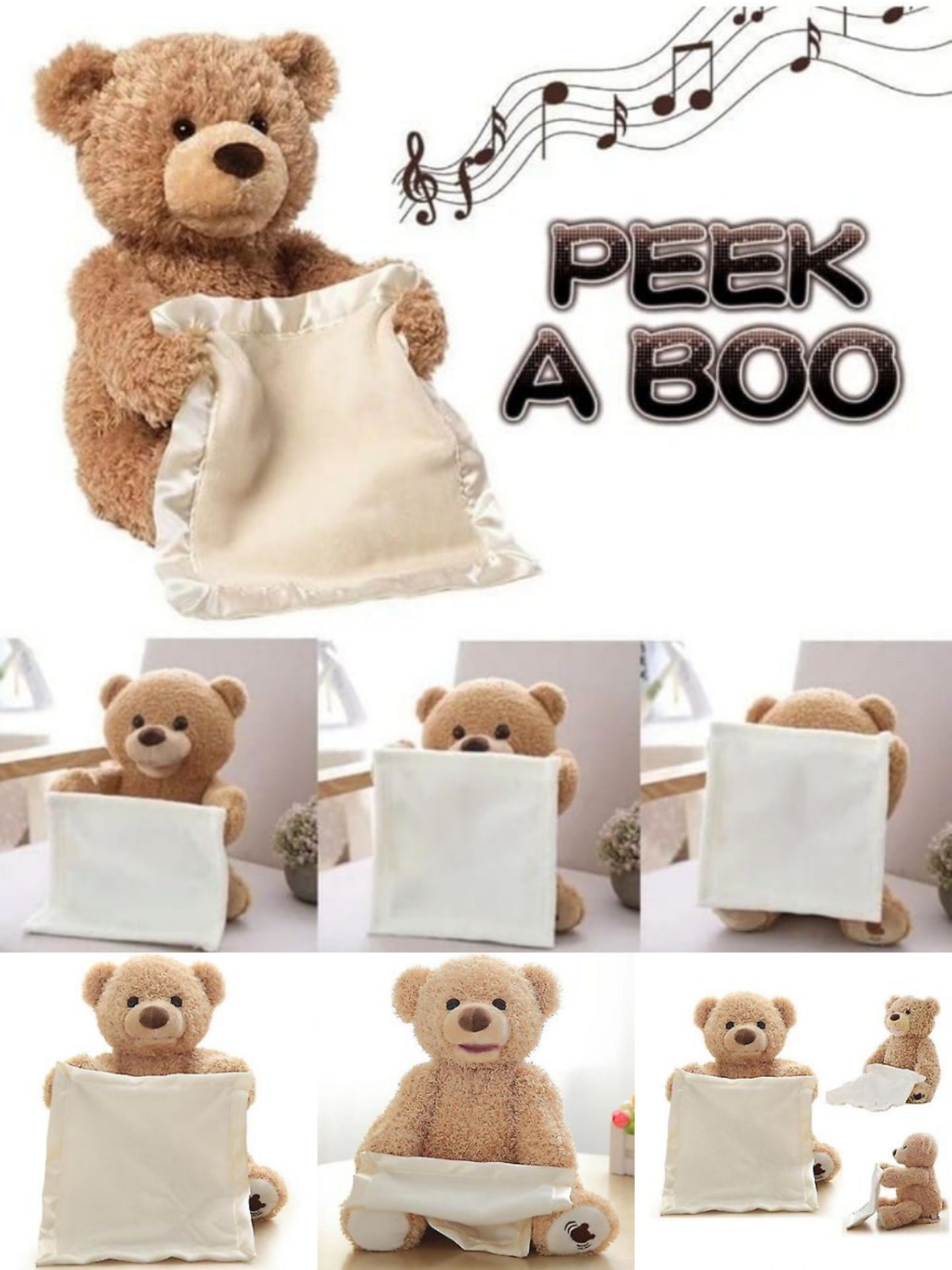 Peek a Boo Teddy_0