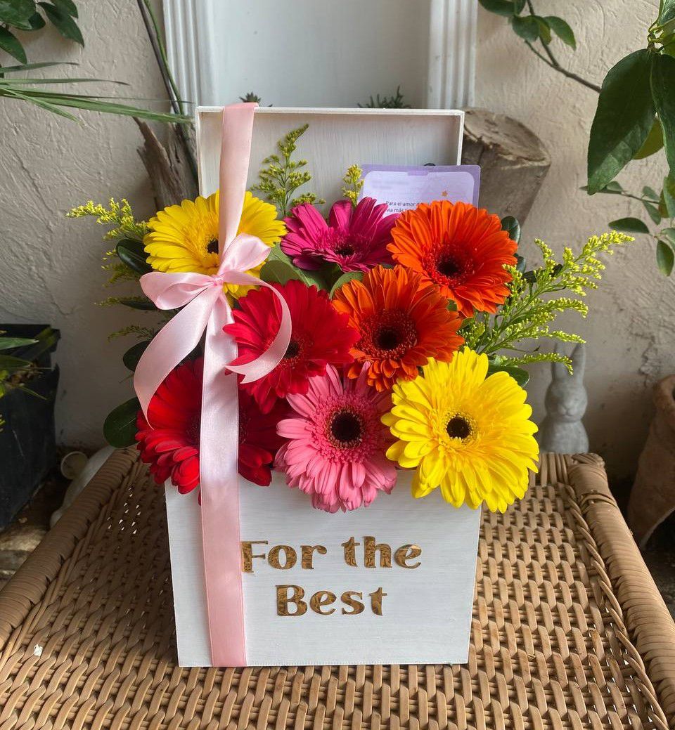 Box de gerberas_1