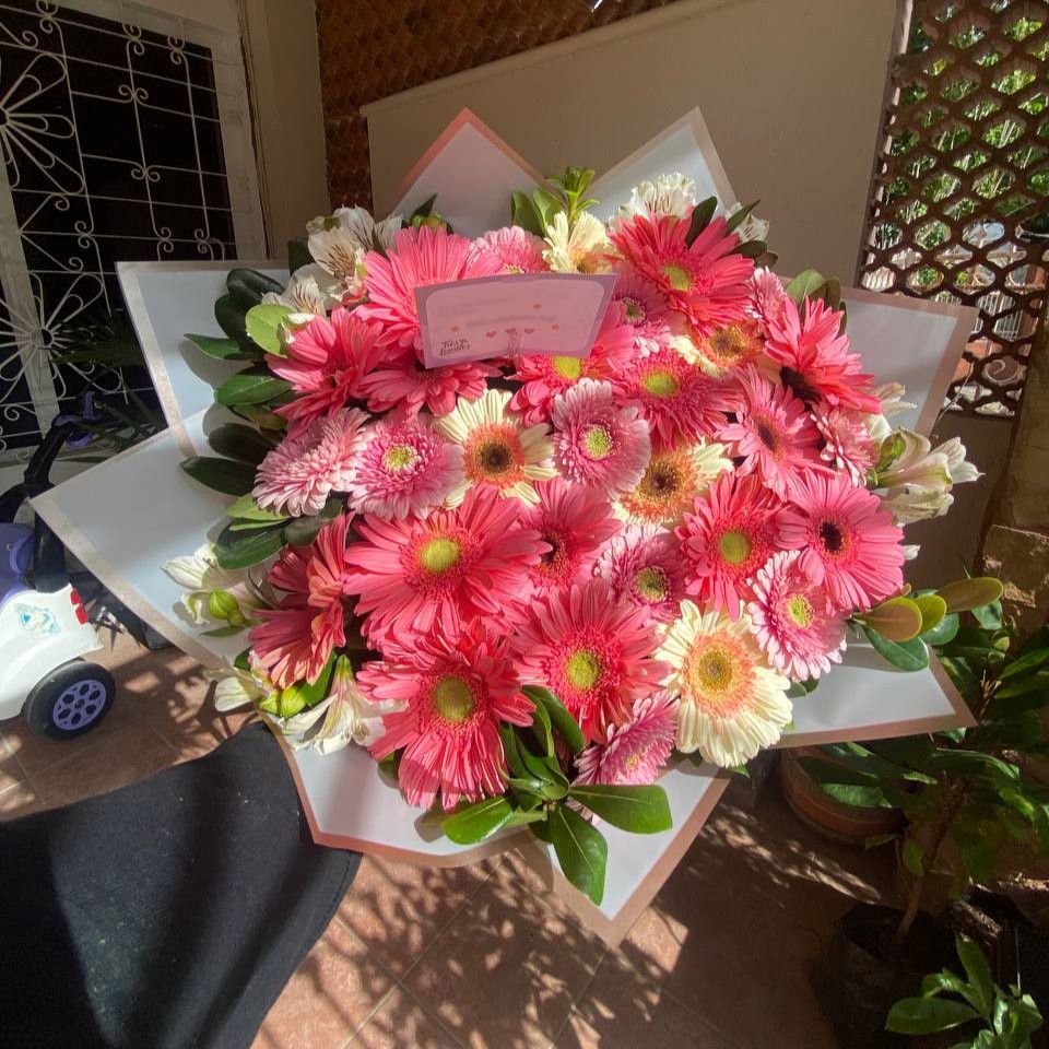 30 gerberas_1