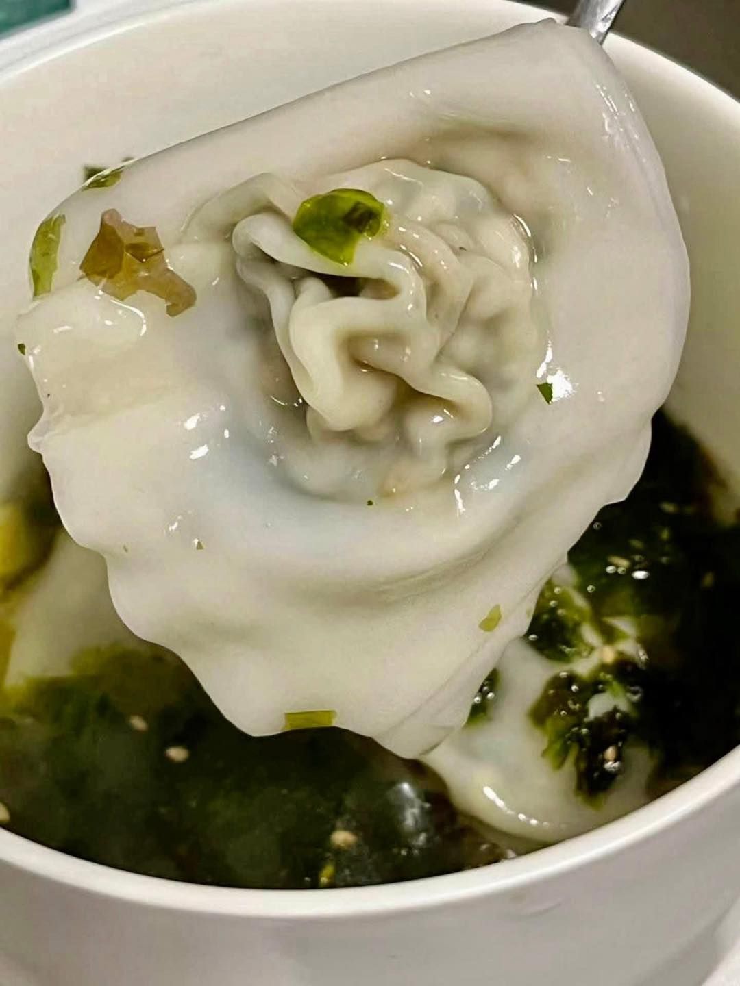 FROZEN Plant-based Wonton_2