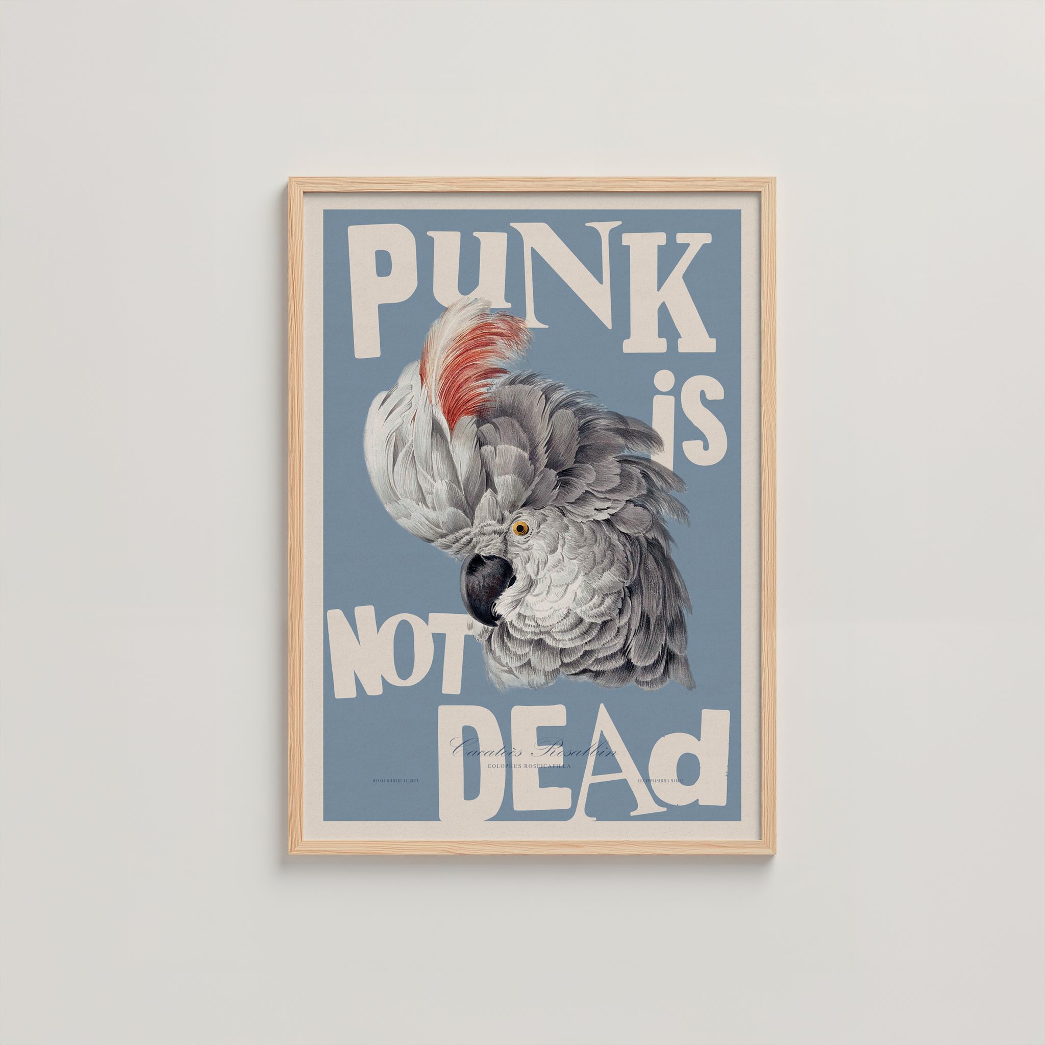 PUNK IS NOT DEAD_1