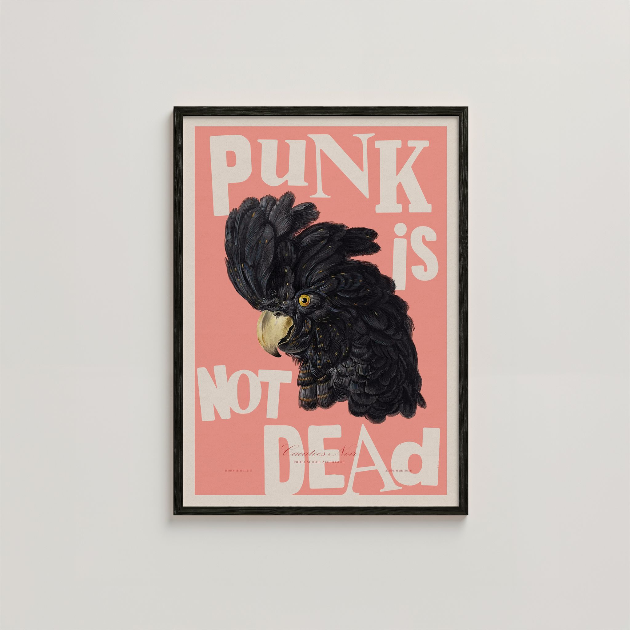 PUNK IS NOT DEAD_5