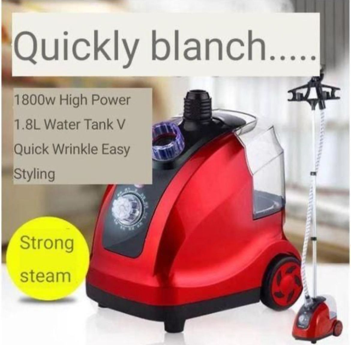 Garment Clothing Steamer   _1