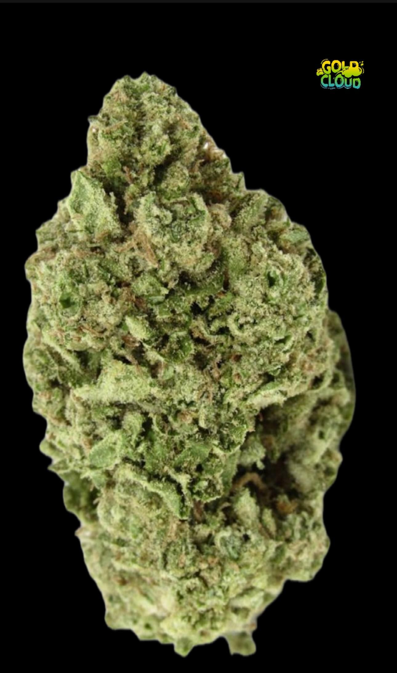 Soweto skunk_0