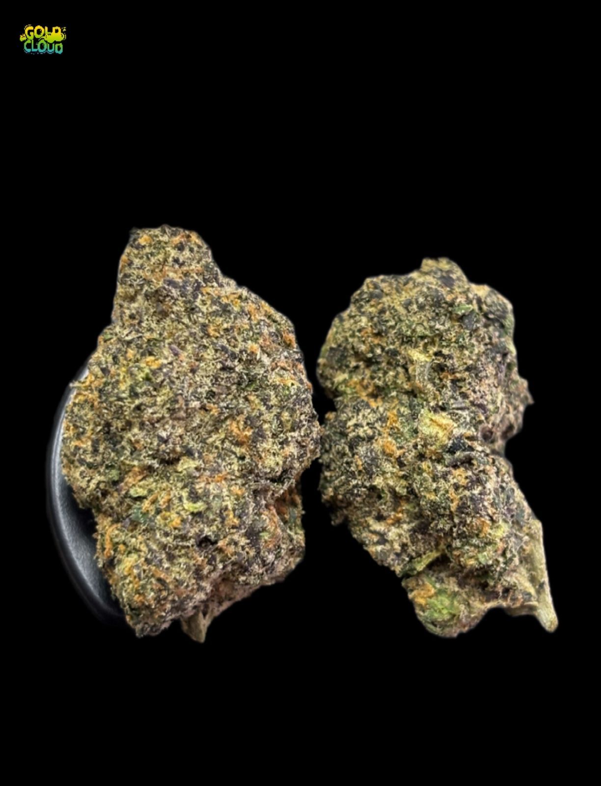 Aliens x Blockberry_2