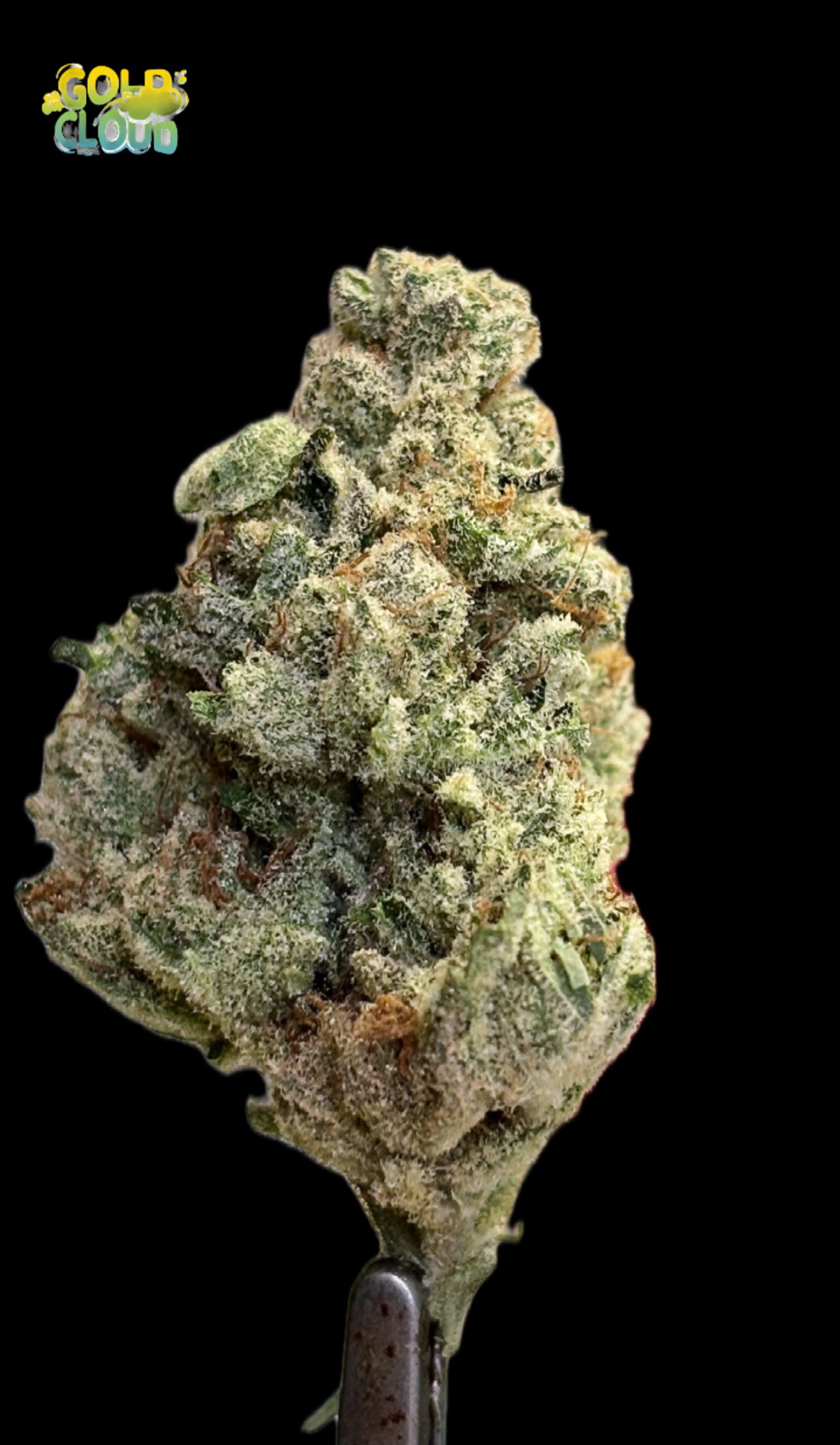 Chem 91_0