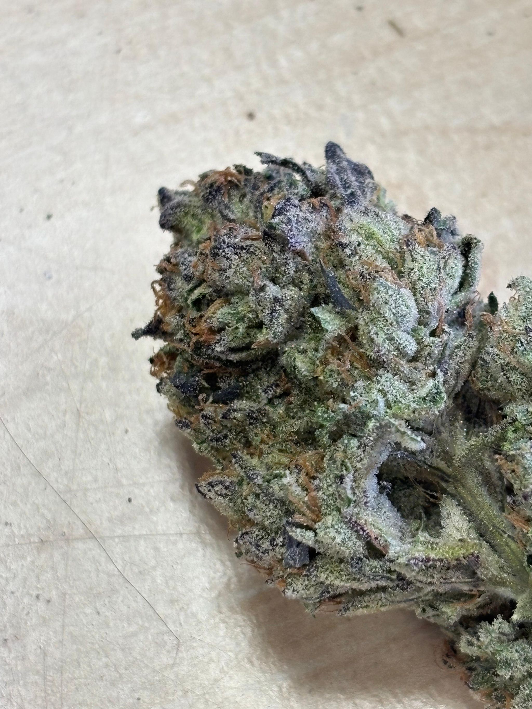 Blunicorn x Watermelon skittles _0