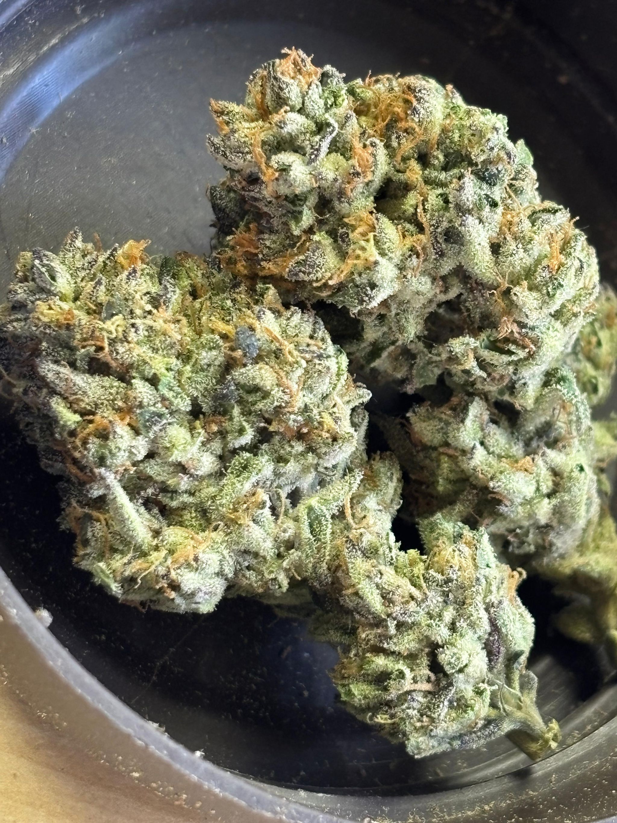 Blunicorn x Watermelon skittles _1