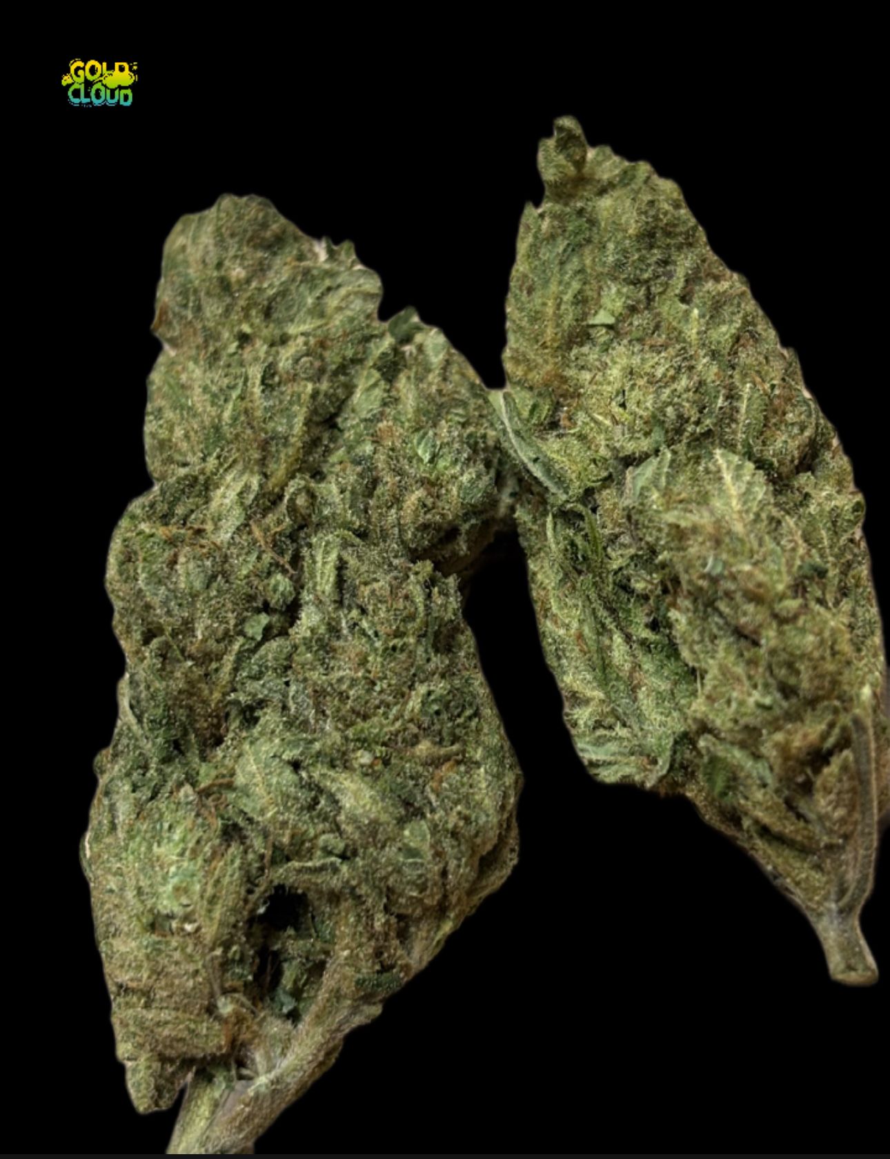 Green sherbet_0