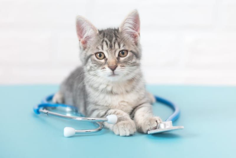 General Health Check-Up _0
