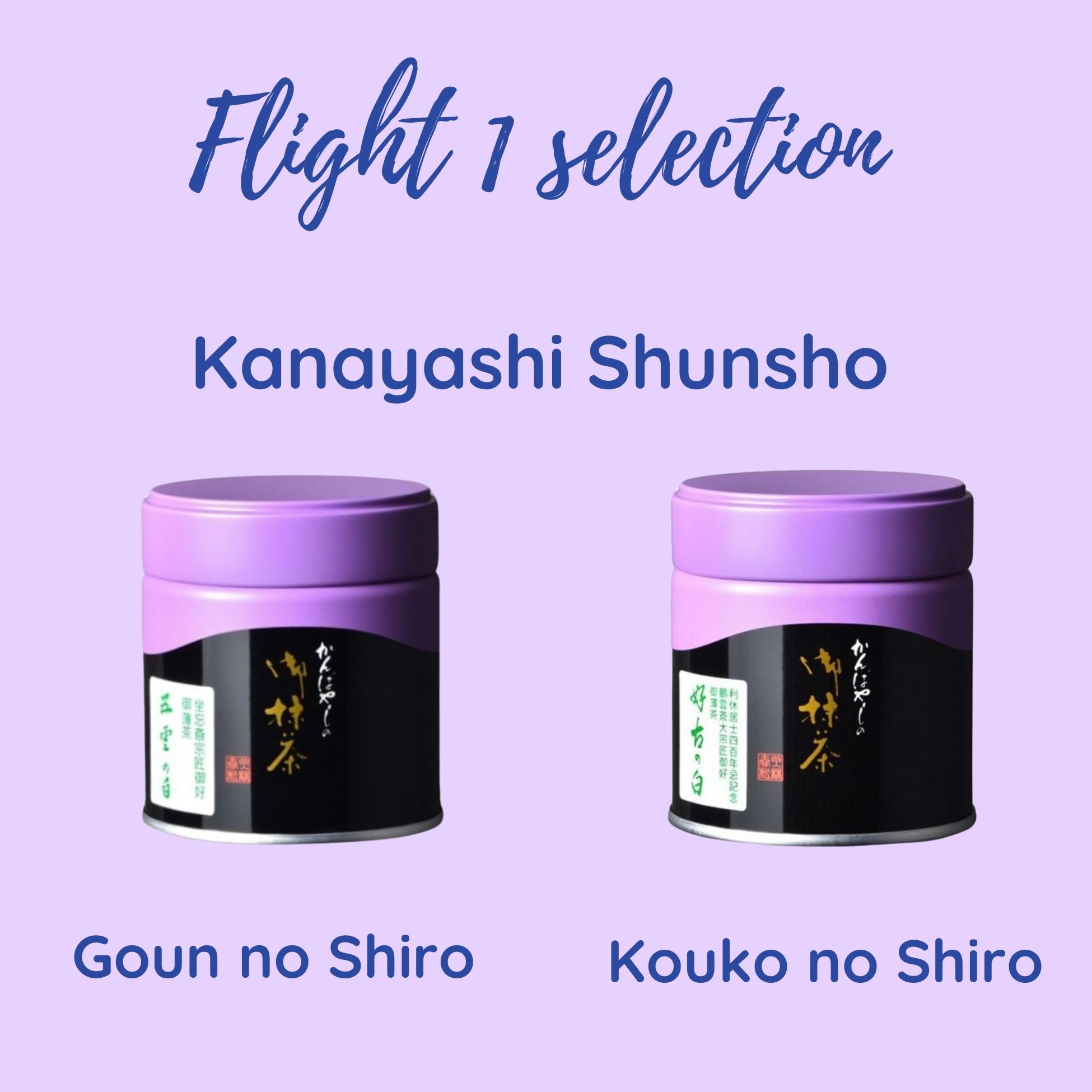 Flight #1_0