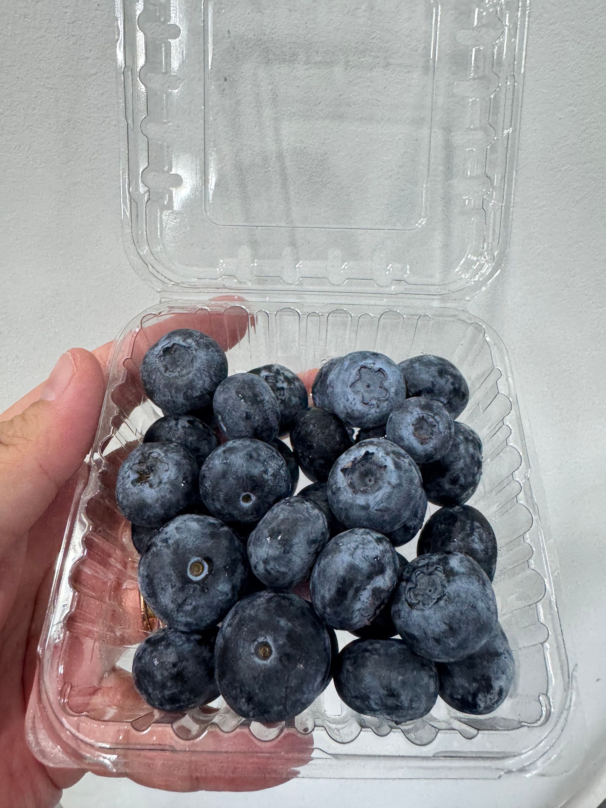 Peru Jumbo Blueberry _0