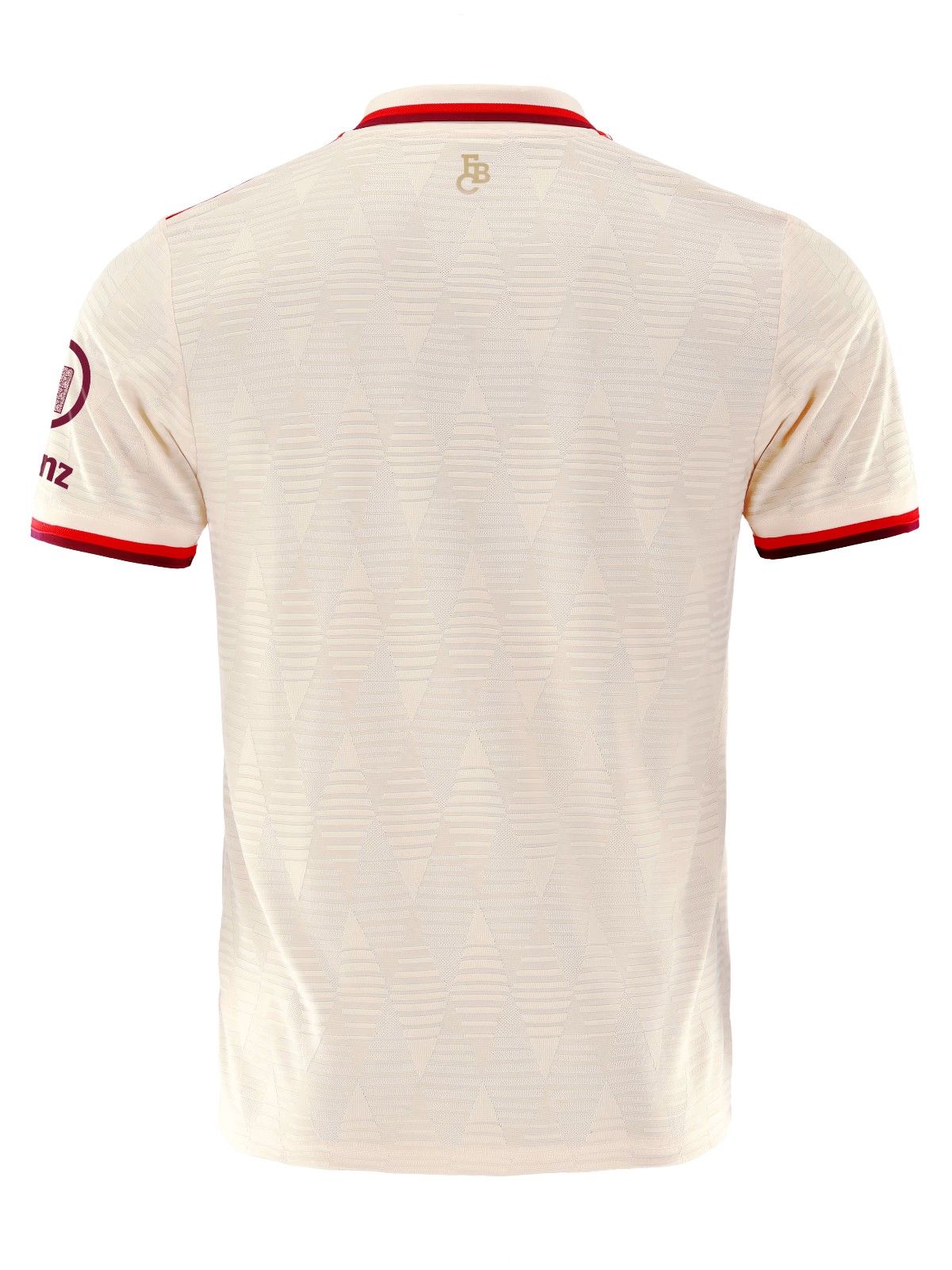 F.C Bayern Munich Adidas HEATRDY Third Kit 24/25_1