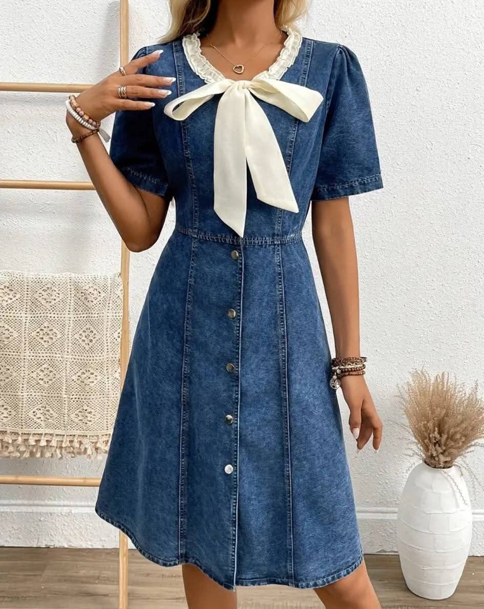 Ladies Denim Dresses_10