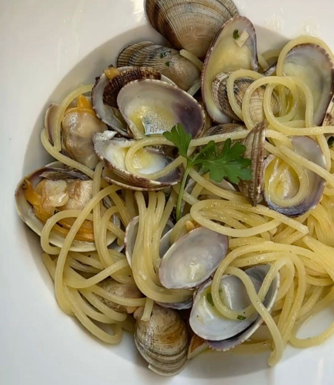 VONGOLE_0