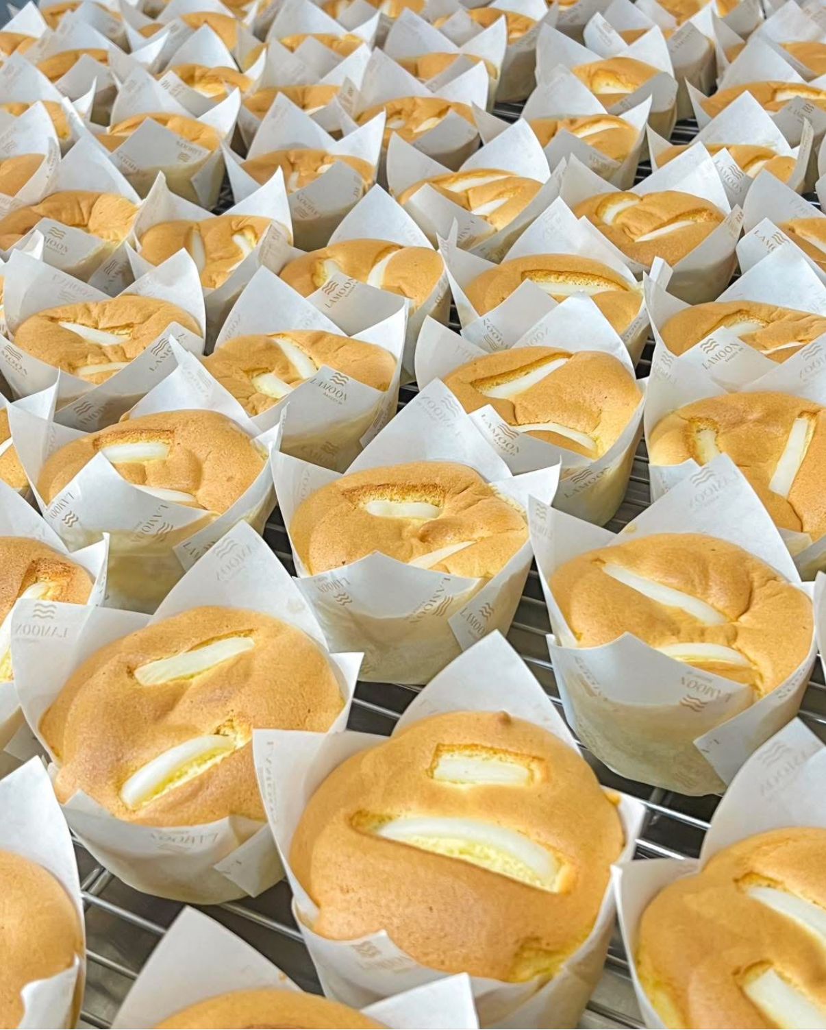 Coconut Pandan cupcakes set and coconut cupcake set _2