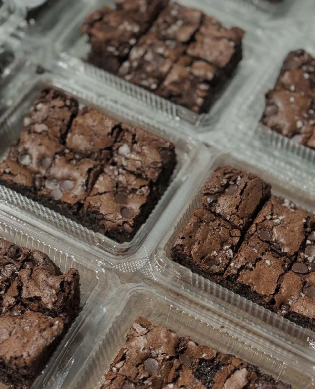 Seasalt Brownie Bite _0