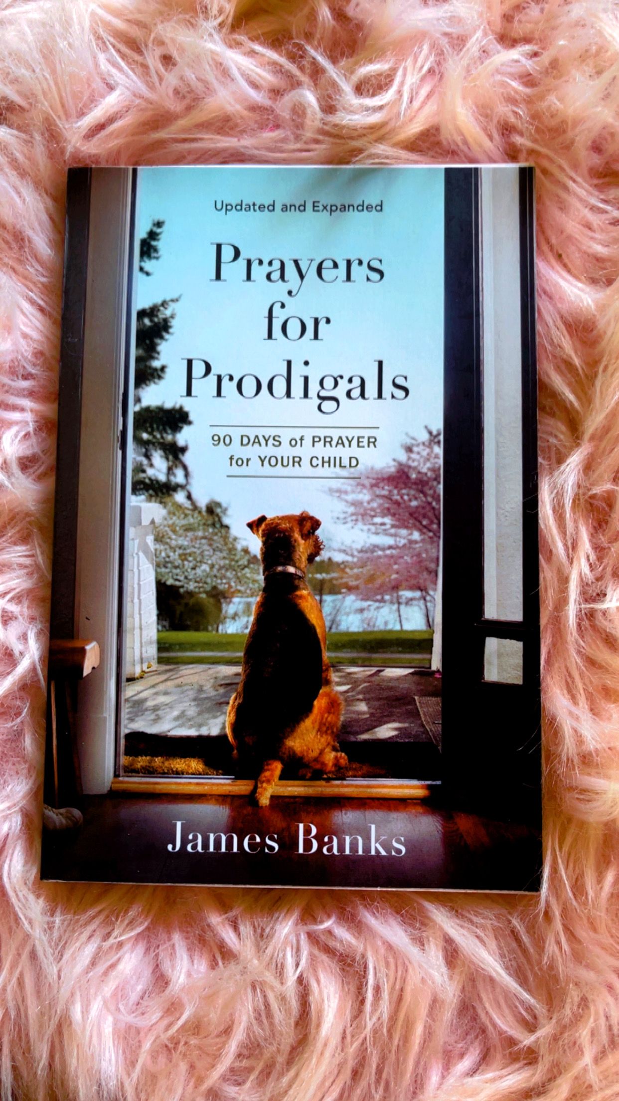 MOM-ments Devotionals 💕🛍️🙏🏽_2