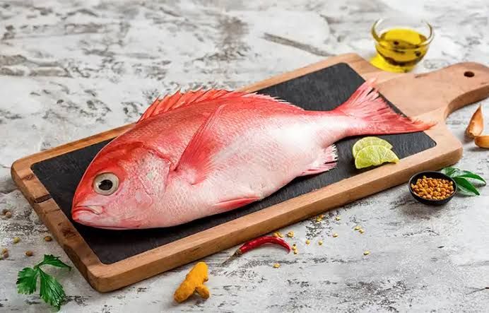 Red snapper/ Sankara_0