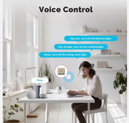 WI-FI SMART SWITCH MODULE 16A_1