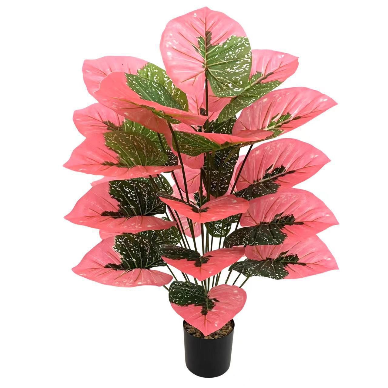 Flowers 5700 usafiri tu_7