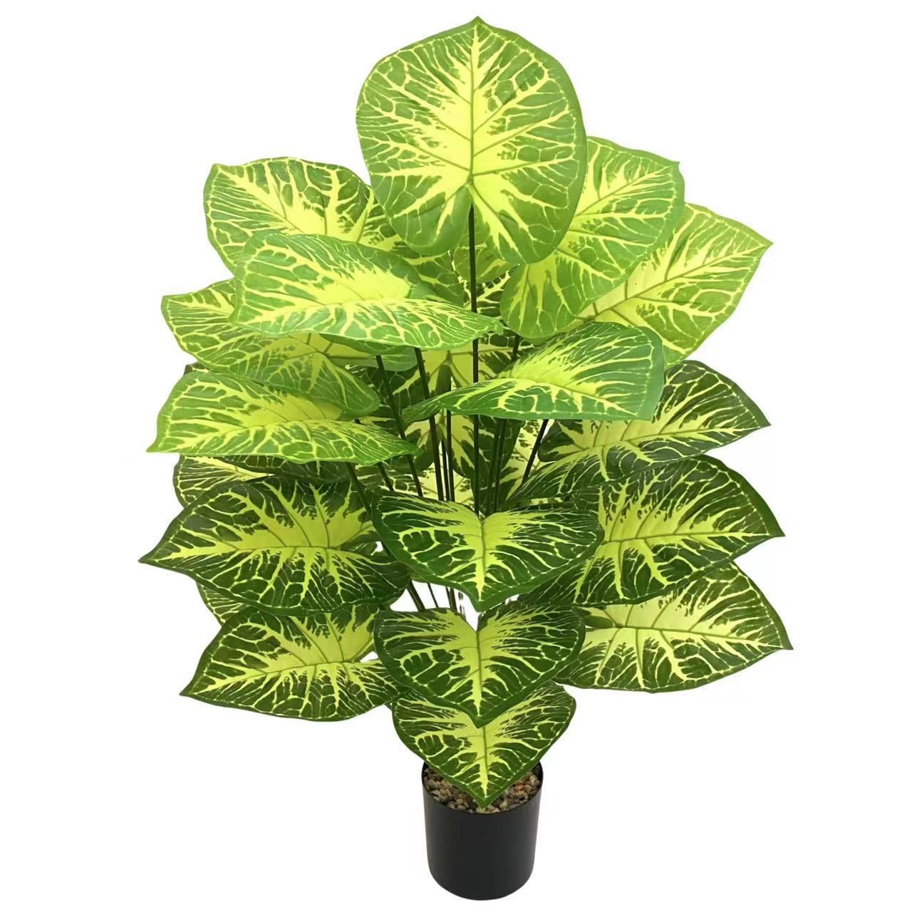 Flowers 5700 usafiri tu_3