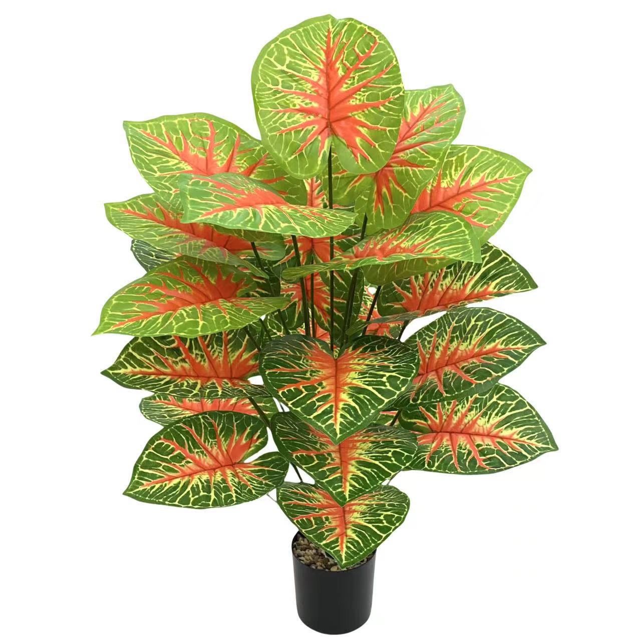 Flowers 5700 usafiri tu_4