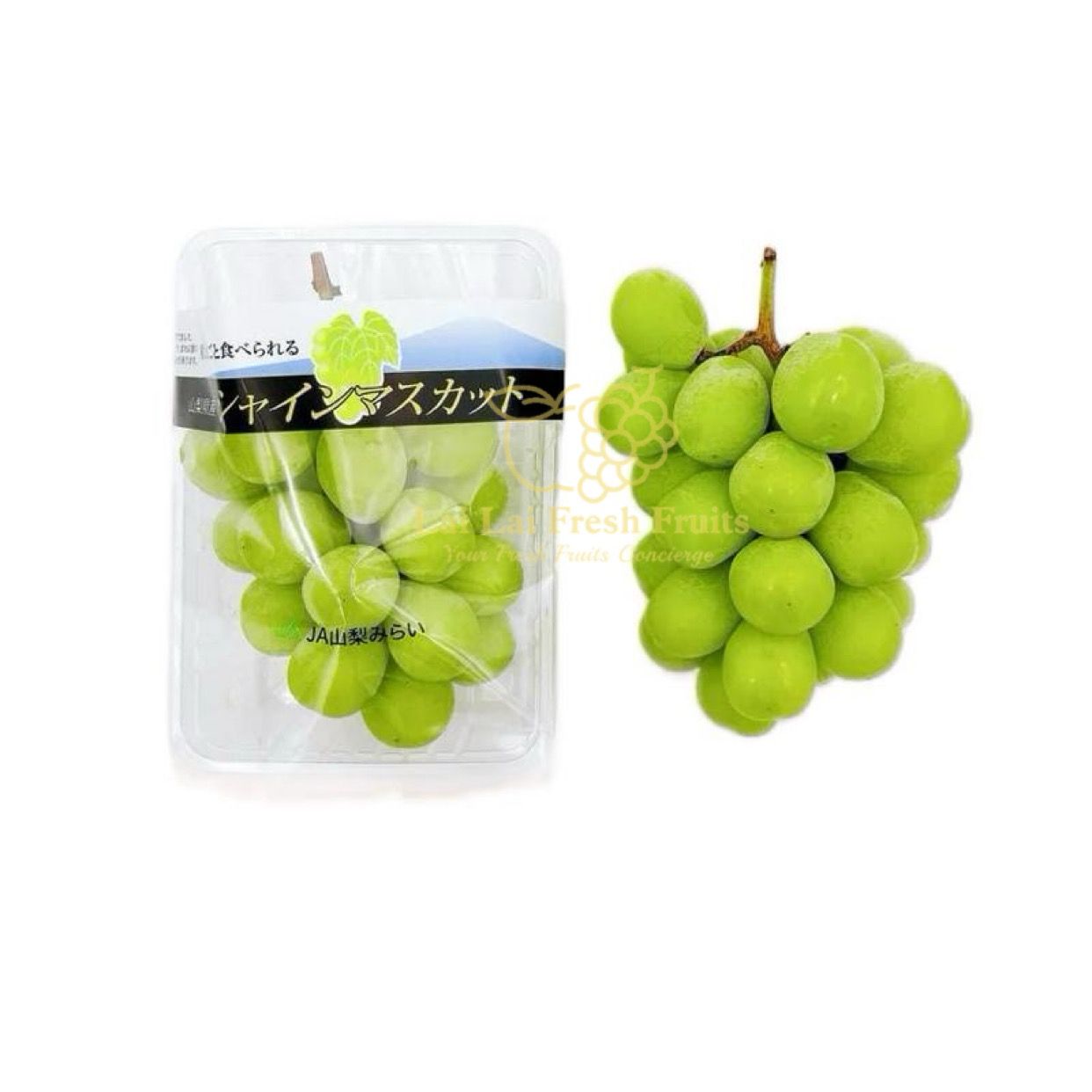 Japan Yamanashi Shine Muscat_0