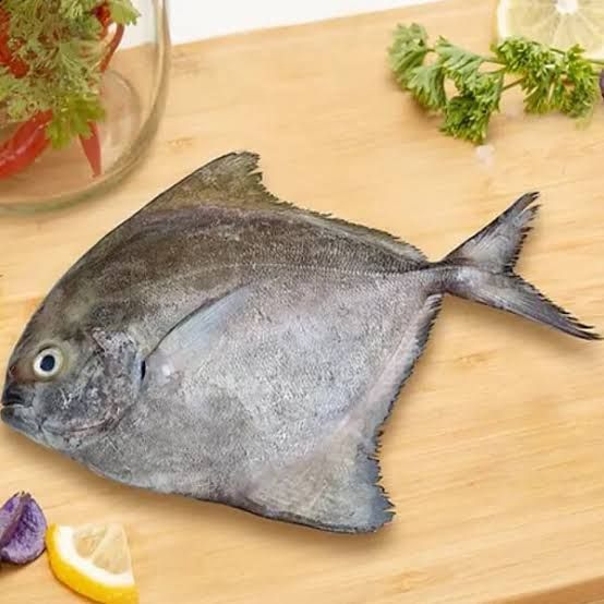 Black pomfret/karuppu vavval_0