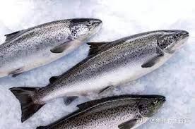 挪威三文魚塊凍乾  Freeze-dried salmon_1