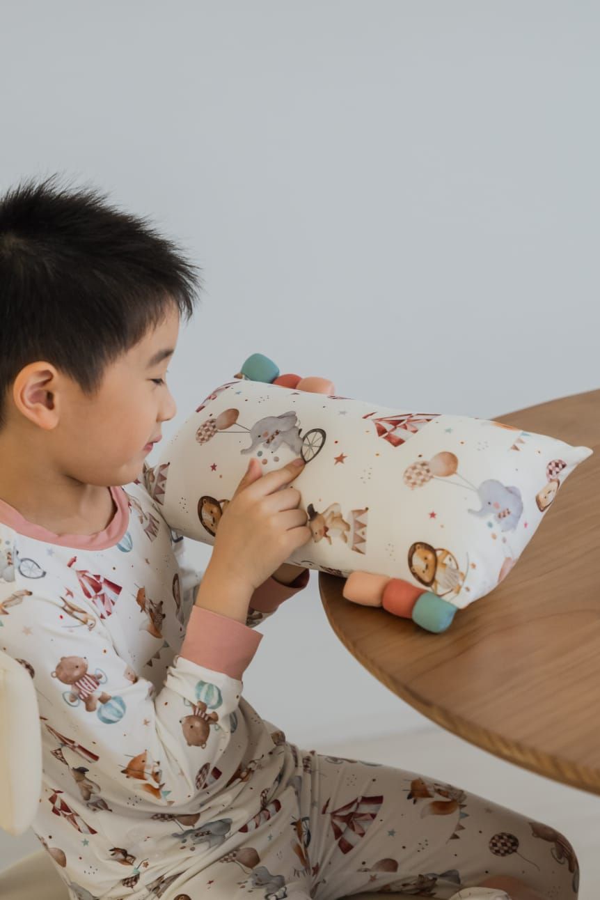 [Circus] Pillows & Pillow Cases_0