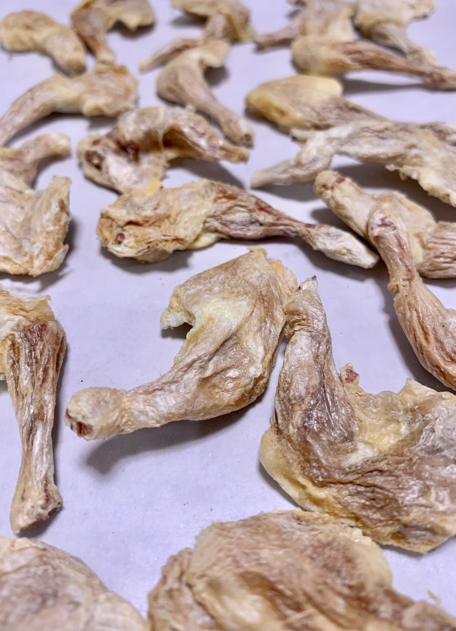 凍乾台灣田雞髀 Freeze-dried frog thighs_0