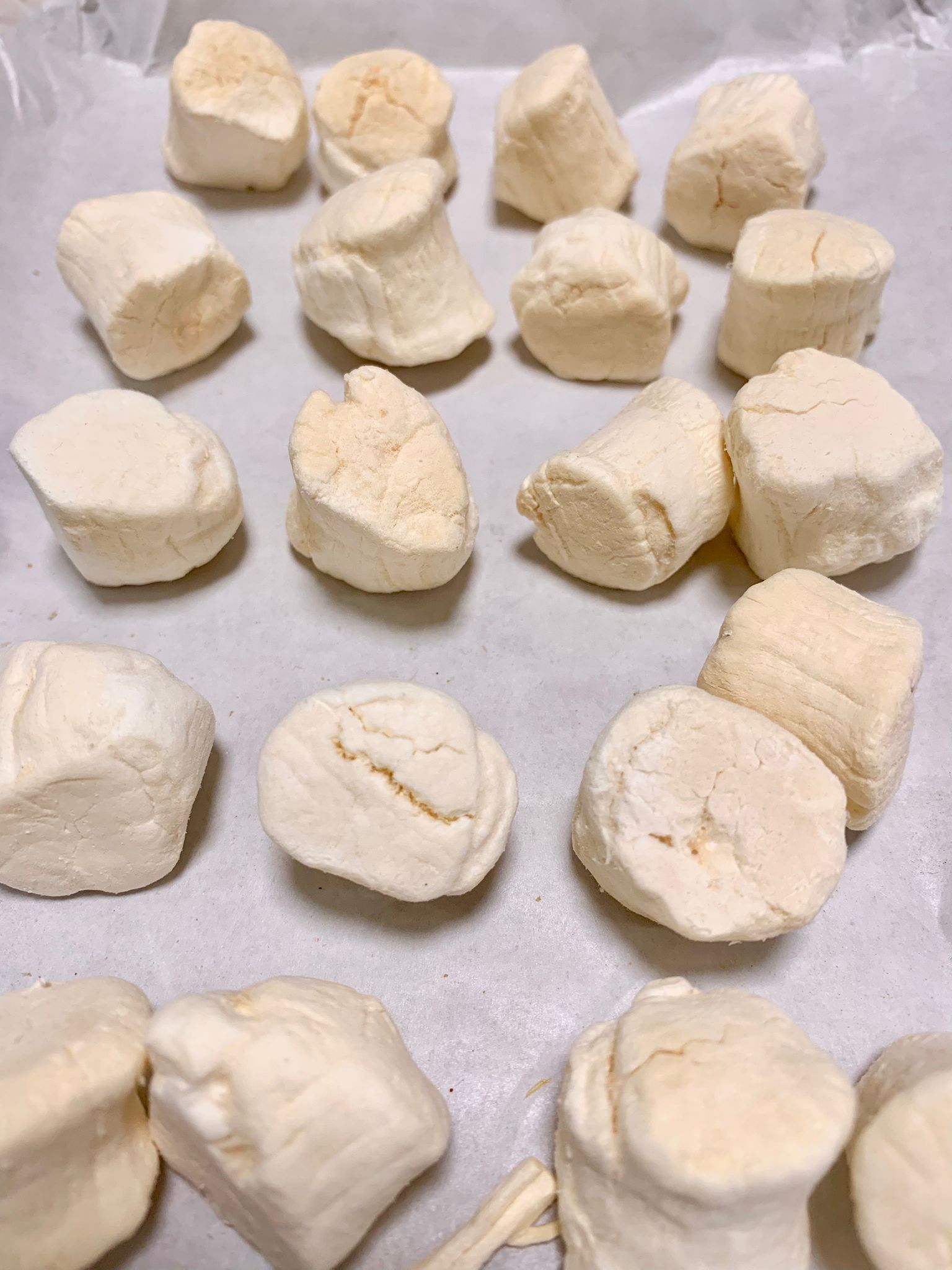 凍乾日本刺身級帶子 Freeze-dried Japanese sashimi-grade scallops_0