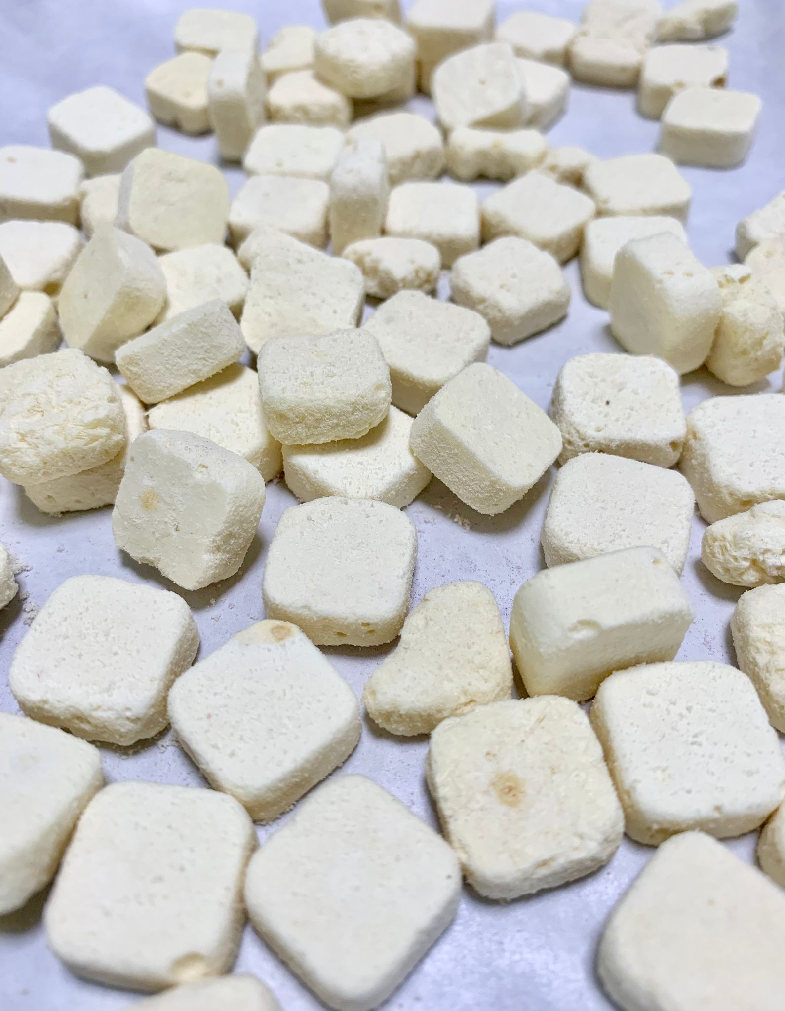 凍乾韓國硬豆腐 Freeze-dried tofu_0