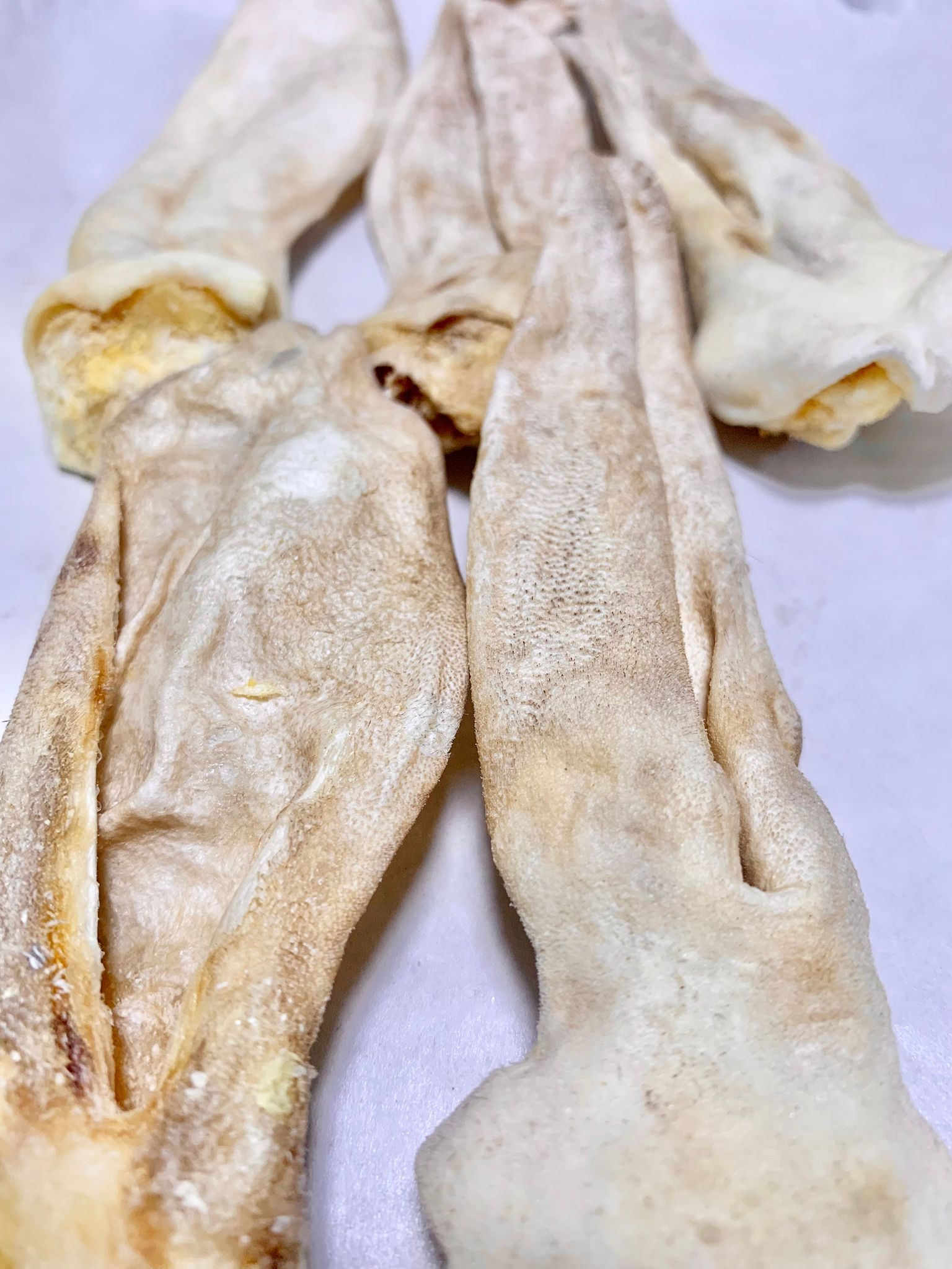 凍乾西班牙兔耳 Freeze-dried rabbit ears_1